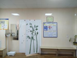 Фотография Фитнес-центр Wellness стиль 0